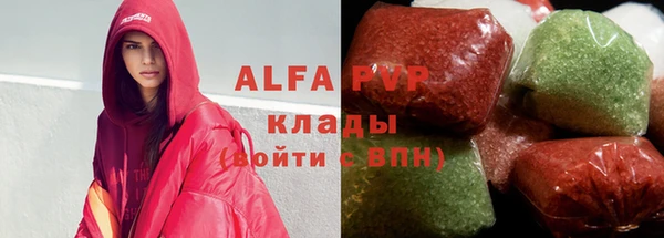 СК Алексин