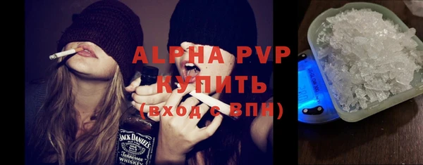 СК Алексин