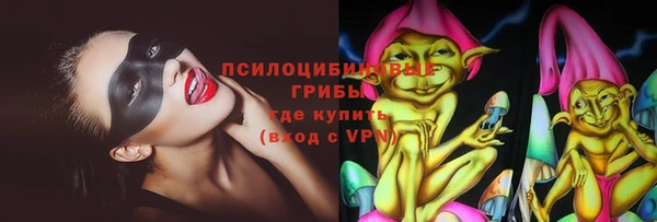 PSILOCYBIN Алексеевка