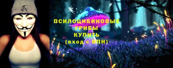 PSILOCYBIN Алексеевка