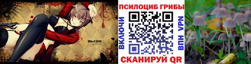 гидра рабочий сайт  площадка какой сайт  Галлюциногенные грибы Magic Shrooms  Богородицк 