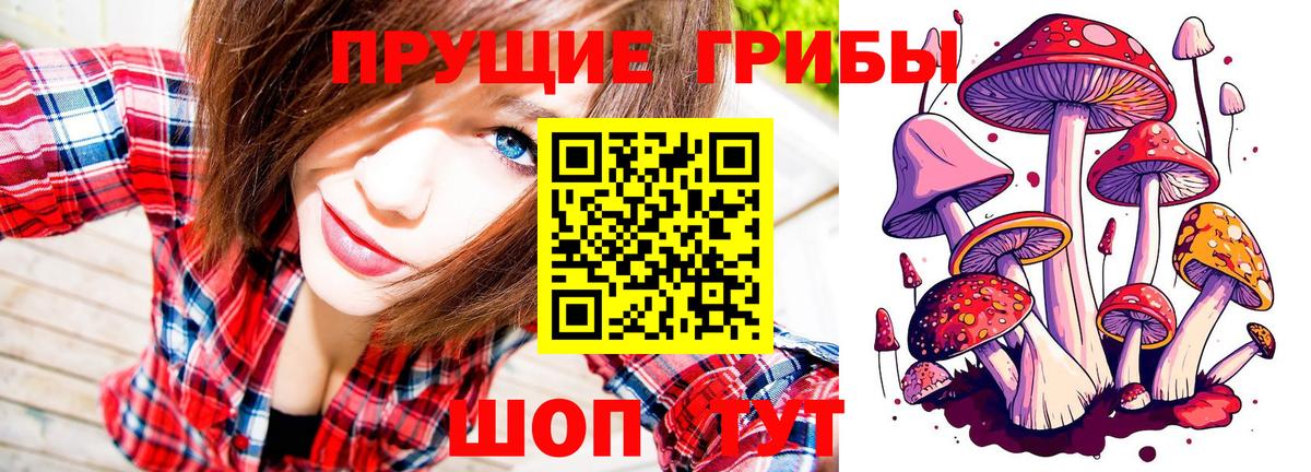 закладка  Псилоцибиновые грибы MAGIC MUSHROOMS  Вход с VPN  Богородицк 